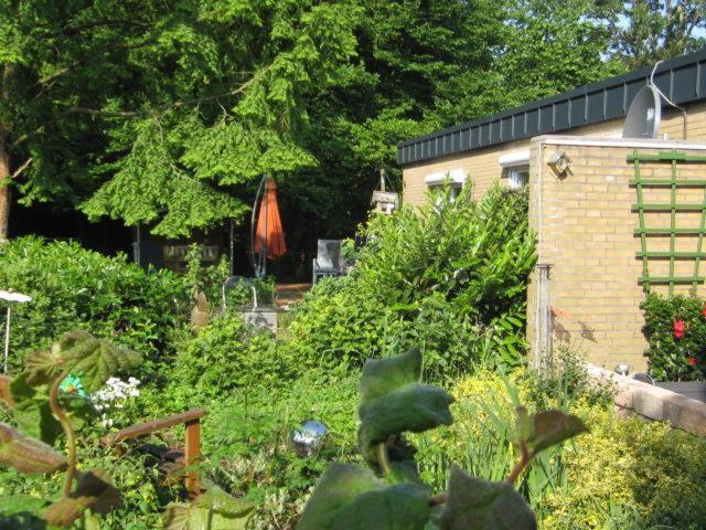 Ferienhaus "Pusteblume" Bad Zwischenahn Luaran gambar